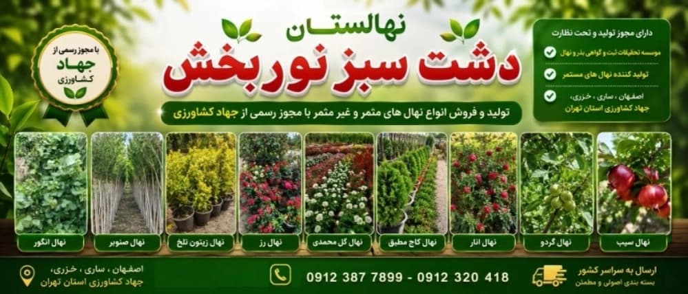 نهالستان دشت سبز نوربخش